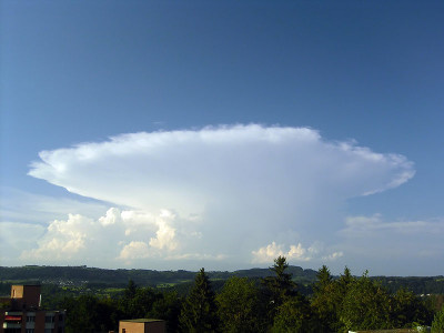 Een cumulonimbus capillatus kan een aambeeld (incus) krijgen zodat het geheel op een paddestoel geli